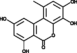 4-hydroxy Alternariol