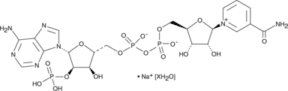 NADP<sup>+</sup> (sodium salt hydrate)