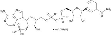 NADP<sup>+</sup> (sodium salt hydrate)