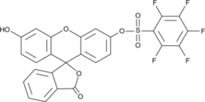 Pentafluoro<wbr/>benzene<wbr/>sulfonyl fluorescein