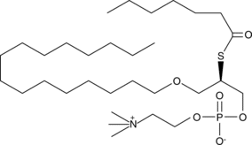Heptanoyl thio-PC