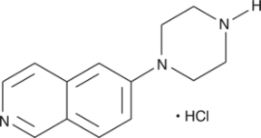 6-<wbr/>piperazin-<wbr/>1-<wbr/>yl-<wbr/>Isoquinoline (hydro<wbr>chloride)