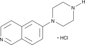 6-<wbr/>piperazin-<wbr/>1-<wbr/>yl-<wbr/>Isoquinoline (hydro<wbr>chloride)