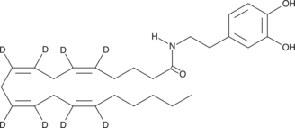 N-<wbr/>Arachidonoyl Dopamine-<wbr/>d<sub>8</sub>