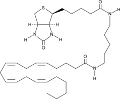 Arachidonic Acid-<wbr/>biotin