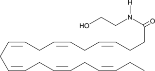 Docosa<wbr/>hexaenoyl Ethanolamide
