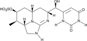 Cylindro<wbr/>spermopsin