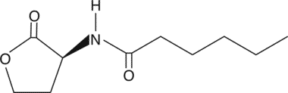 N-<wbr/>hexanoyl-<wbr/>L-<wbr/>Homoserine lactone
