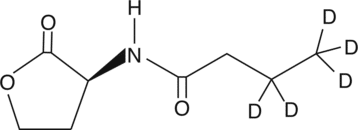 N-<wbr/>butyryl-<wbr/>L-<wbr/>Homoserine lactone-<wbr/>d<sub>5</sub>