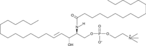 C16 Sphingomyelin (d18:1/16:0)