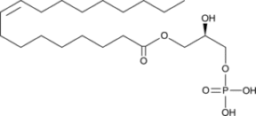 1-<wbr/>Oleoyl Lyso<wbr/>phosphatidic Acid