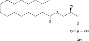1-Palmitoyl Lyso<wbr/>phosphatidic Acid