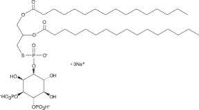 Ptd(S)Ins-<wbr/>(3,4)-<wbr/>P<sub>2</sub> (1,2-<wbr/>dipalmitoyl) (sodium salt)