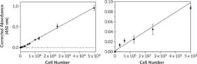 XTT Cell Proliferation Assay Kit