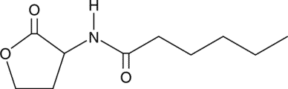 N-<wbr/>hexanoyl-<wbr/>DL-<wbr/>Homoserine lactone