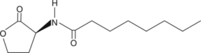 N-<wbr/>octanoyl-<wbr/>L-<wbr/>Homoserine lactone