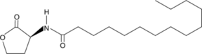 N-<wbr/>tetradecanoyl-<wbr/>L-<wbr/>Homoserine lactone
