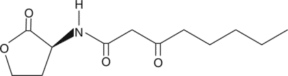 N-<wbr/>3-<wbr/>oxo-<wbr/>octanoyl-<wbr/>L-<wbr/>Homoserine lactone