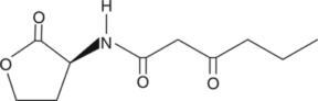 N-<wbr/>(?-<wbr/>ketocaproyl)-<wbr/>L-<wbr/>Homoserine lactone
