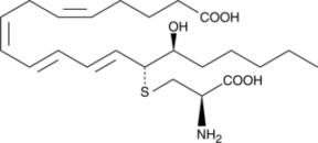14,15-<wbr/>Leukotriene E<sub>4</sub>