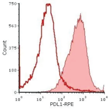 Rat anti-Mouse CD274 (PD-L1) Conjugated to R-PE