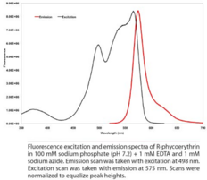 Rat Anti-TIM-3 IgG conjugated to R-Phycoerythrin