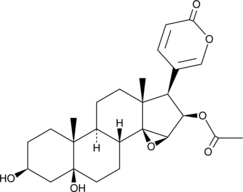 Cinobufotalin