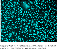 CytoCalcein™ Violet 500