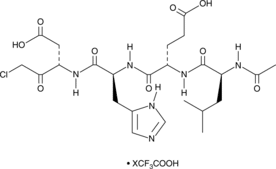Caspase-9 Inhibitor III (trifluoro<wbr/>acetate salt)