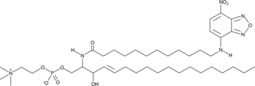 C12 NBD Sphingomyelin (d18:1/12:0)