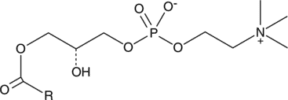 Lyso<wbr/>phosphatidyl<wbr/>choline