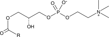 Lyso<wbr/>phosphatidyl<wbr/>choline