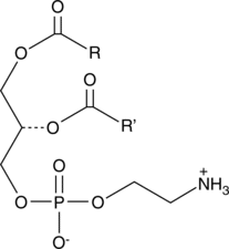 Phosphatidyl<wbr/>ethanolamine (chicken egg)