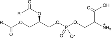 Phosphatidylserine (bovine)