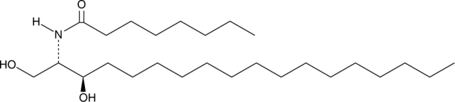 C8 dihydro Ceramide (d18:0/8:0)