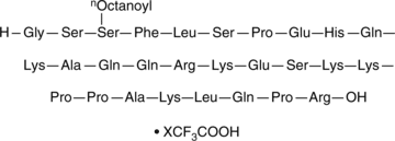 Ghrelin (rat) (trifluoroacetate salt)