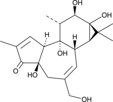 Phorbol