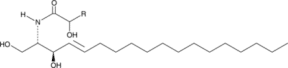 Ceramide (hydroxy) (bovine spinal cord)