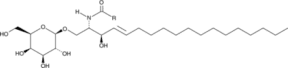 Galactosyl<wbr/>ceramide (non-hydroxy) (bovine)