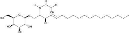 Galactosyl<wbr/>ceramides (hydroxy)