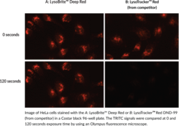 LysoBrite™ Deep Red