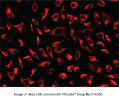 MitoLite™ Deep Red FX660