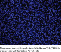 Nuclear Violet™ LCS1