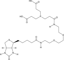 TCEP-biotin