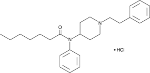 Heptanoyl fentanyl (hydrochloride)