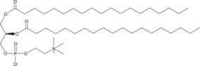 1,2-Dinon<wbr/>adecanoyl-<wbr/><em>sn</em>-glycero-3-<wbr/>PC