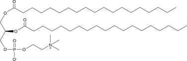1,2-Dinon<wbr/>adecanoyl-<wbr/><em>sn</em>-glycero-3-<wbr/>PC