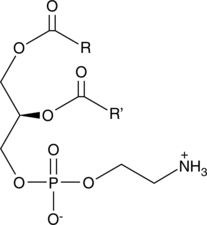 Phosphatidyl<wbr/>ethanolamines (soy)