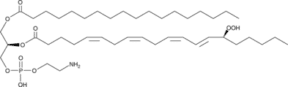 1-Stearoyl-2-<wbr/>15(S)-HpETE-<em>sn</em>-<wbr/>glycero-3-PE