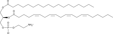 1-Stearoyl-2-Arachidonoyl-<em>sn</em>-glycero-3-PE